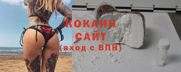 метадон Богданович