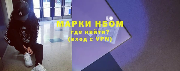 метадон Богданович