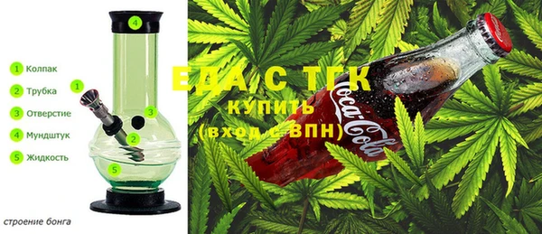 тгк Бородино