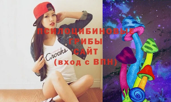 метадон Богданович
