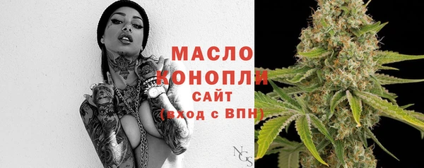 хмурый Богородицк
