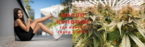 хмурый Богородицк