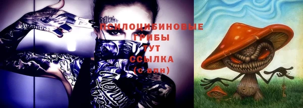 метадон Богданович