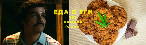 тгк Бородино