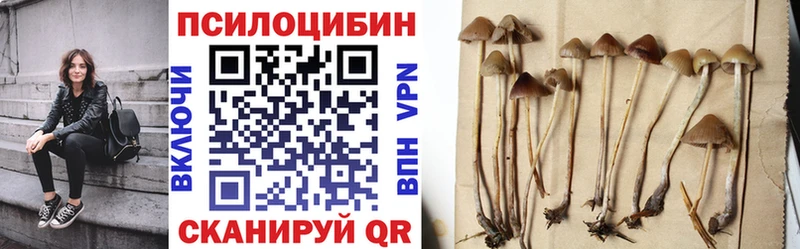 darknet клад  Севастополь  Галлюциногенные грибы мухоморы  ОМГ ОМГ ссылка 