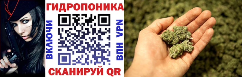 Бошки Шишки тримм  закладка  Севастополь 